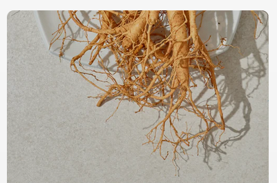 Ginseng Root